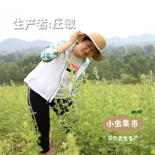 生态艾贴系列（暖艾贴/暖膝贴/腰腹贴）I合作农友生产，来自河南南阳，生产者：庄敏 *【公平贸易农人定价】 商品图5