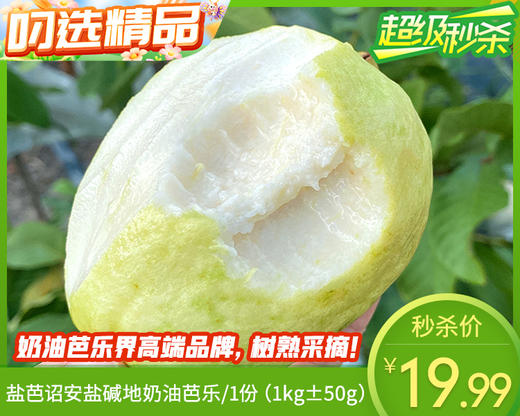 盐芭诏安盐碱地奶油芭乐/1份（1kg±50g） 商品图0