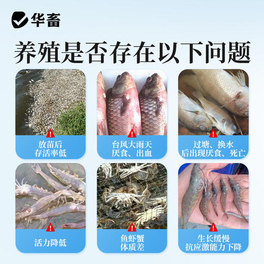 华畜应激宝500g抗应激促生长保苗抗氧化SZ 商品图1