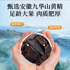 黄精抱枣 黄精30天九蒸九晒手工制作  冬季固养元气精力 办公室家庭儿童经期零食 九华黄精抱枣150g/盒 【约15个左右】 商品缩略图2