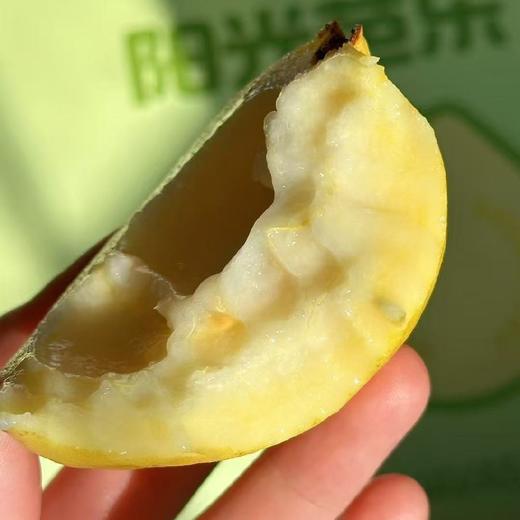 老树奶油芭乐【4斤】~皮奶白色/淡黄色，果肉软糯，清甜口，冰淇淋一样的口感，浓烈的芭乐香，减肥三高人士首选！ 商品图1