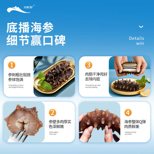 [獐子岛]北纬39°即食海参(500g/袋8-16头) 商品图3