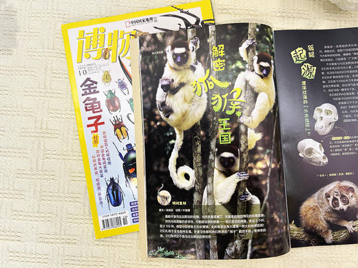 【绝版过刊】博物  2024年1-6月共6期   现货打包发货 商品图3