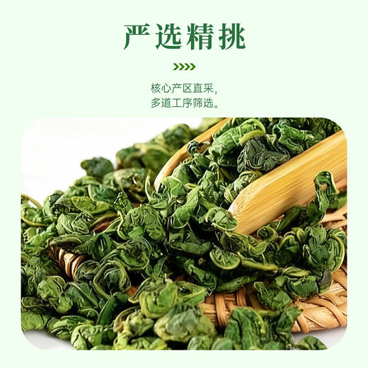 【特惠23.9】东篱下桑叶茶50g【保质期至2026-03】-专享价 商品图1