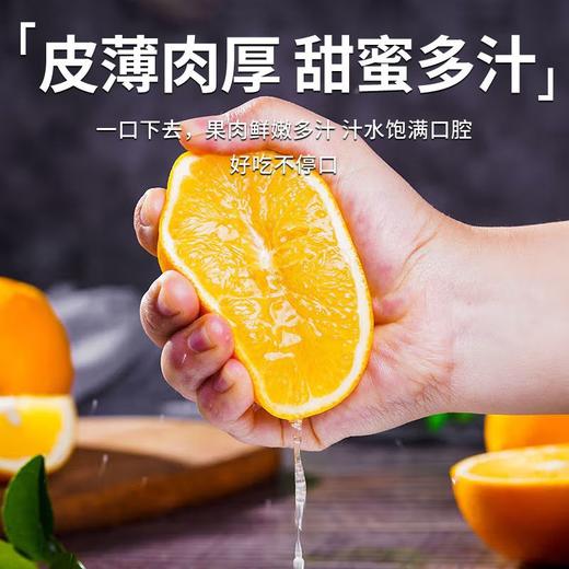 赠送剥橙器【皮薄肉厚❗️甜蜜多汁】江西赣南脐橙新鲜当季水果产地直发应季橙子现摘甜橙脐橙。jb 商品图3