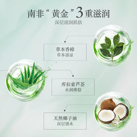 Veerox韦林适 香樟护肤霜 南非原装进口 滋润保湿 嫩滑肌肤 脚后跟防干裂 一瓶多效 全家可用 225ml/瓶 商品图4