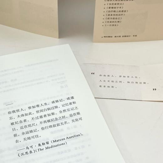官网 一日浮生 心理学大师欧文亚隆10个咨询室的故事 存在主义心理学 存在主义心理治疗 社会心理学书籍 商品图4