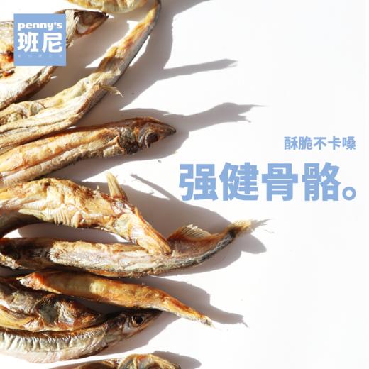 脆多春 冻干多春鱼 猫狗零食 零添加 商品图0