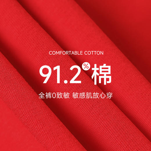 鸿运相伴女士美臀裤（3条装） 商品图4