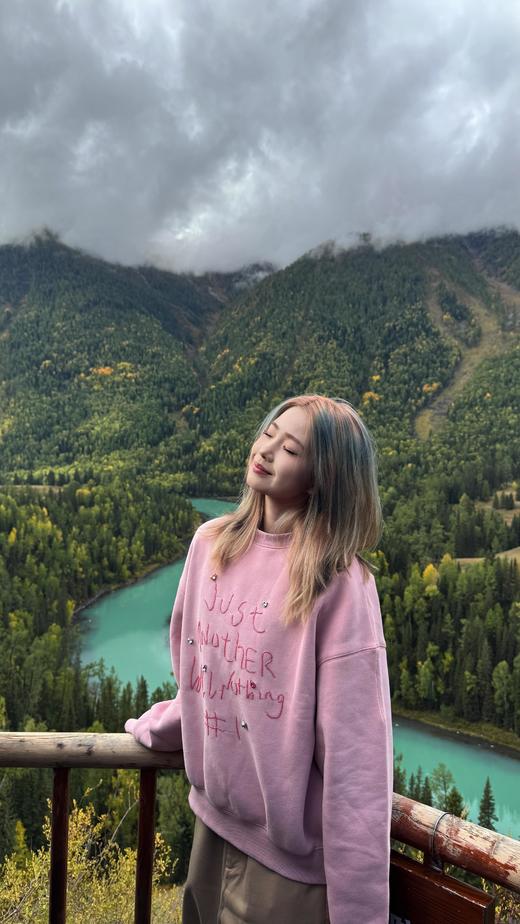 小众品牌原单草莓圣代加绒珠绣卫衣 商品图7