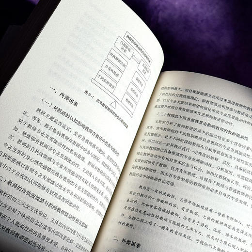 园本教师专业发展 5所幼儿园的实践与研究 大夏书系 幼儿教育 商品图11