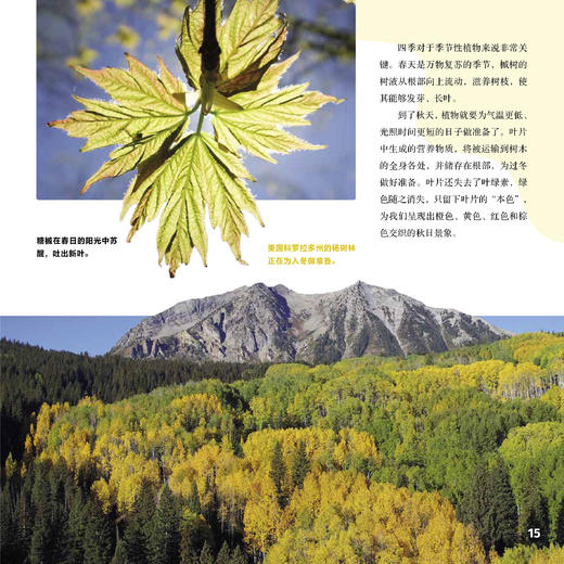 《绿色星球》（全5册） 商品图13