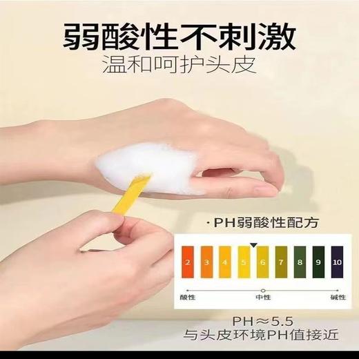 2瓶80ml霸王生姜洗发水防脱控油防掉去屑止痒增发强韧洗发液男女（非卖品字样介意勿拍） 商品图5