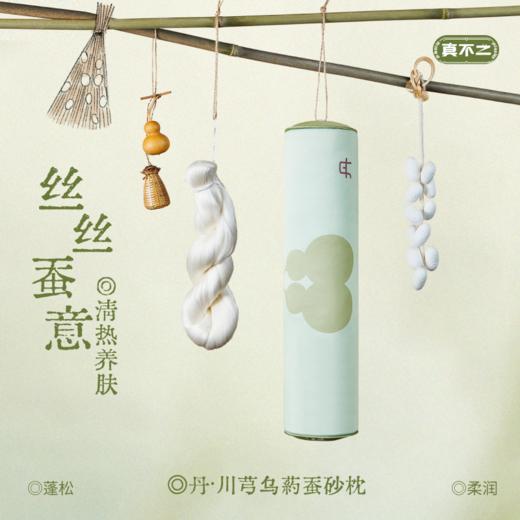 双12活动🔥【真不二】新品绿罗绮蚕砂颈枕有机蚕丝送礼枕头（会员福利价） 商品图1