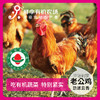 有机老公鸡 净重3斤左右 吃蔬菜/吃粮食/散养/当日屠宰/空运 商品缩略图0