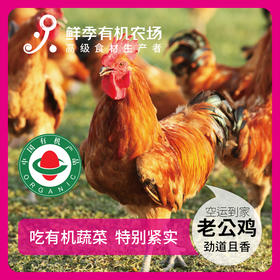 有机老公鸡 净重3斤左右 吃蔬菜/吃粮食/散养/当日屠宰/空运
