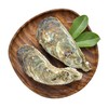 生蚝 /1只 商品缩略图3