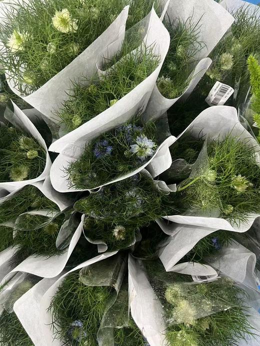 黑种草一扎 商品图5