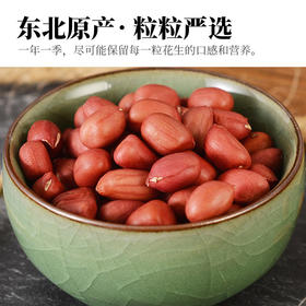 人民 有机红皮花生250g