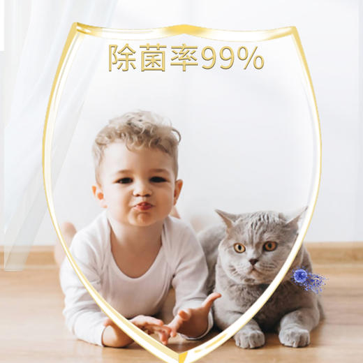 "美穗吉家 速干除菌 地板清洁剂500g" 商品图4