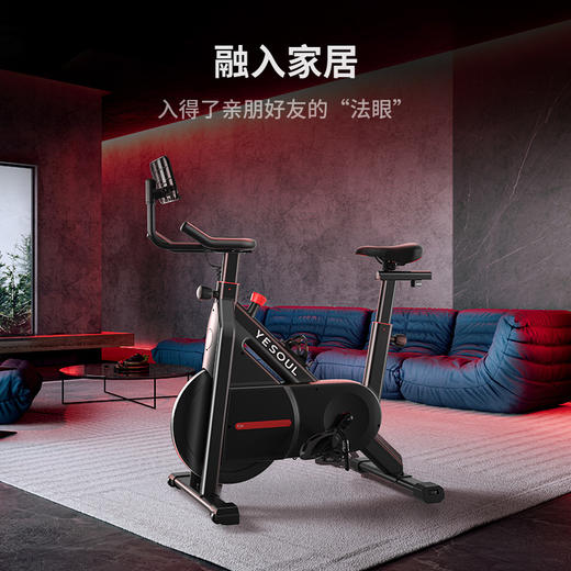 YESOUL野小兽动感单车家用静音磁控健身车室内运动减肥器C1A 商品图4