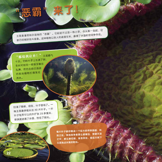 《绿色星球》（全5册） 商品图5