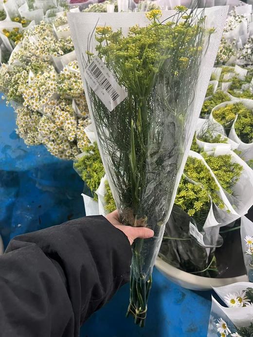 茴香花一扎 商品图1