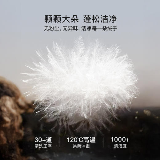 OLrain欧芮儿2025新款冬季精致双层领毛领蓬松时尚短款羽绒服女 商品图3