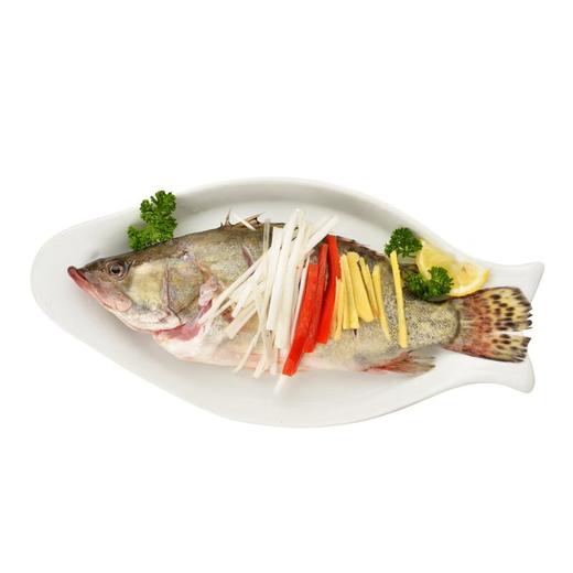 清蒸桂鱼  约450g/份 商品图3
