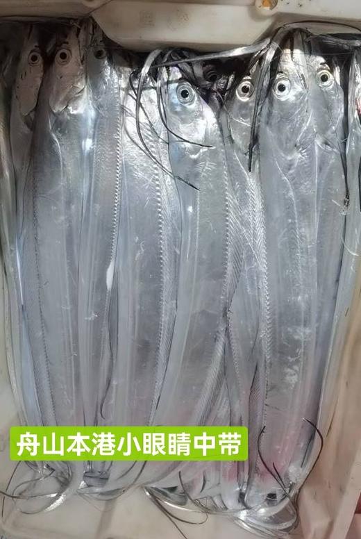 舟山本港野生小眼睛钓带21.8约1.5斤4-5条／，明天到 商品图7