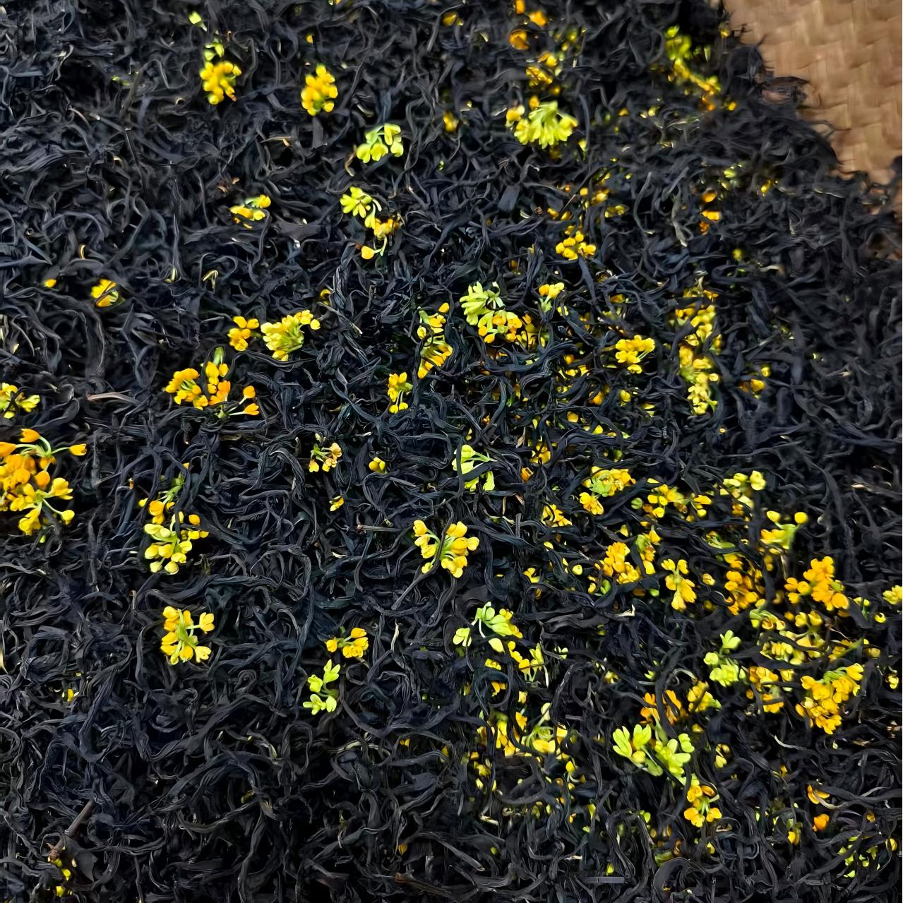 满百减十 | 建德三都高山红茶/桂花红茶 香高味浓 古法窨制