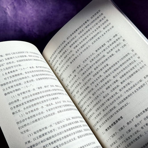 园本教师专业发展 5所幼儿园的实践与研究 大夏书系 幼儿教育 商品图13