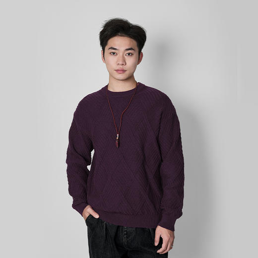 【新品上新】HX 冬季圆领毛衫亲肤舒适Z107440002101/02 商品图1