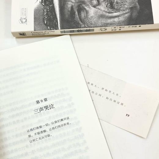 官网 一日浮生 心理学大师欧文亚隆10个咨询室的故事 存在主义心理学 存在主义心理治疗 社会心理学书籍 商品图3