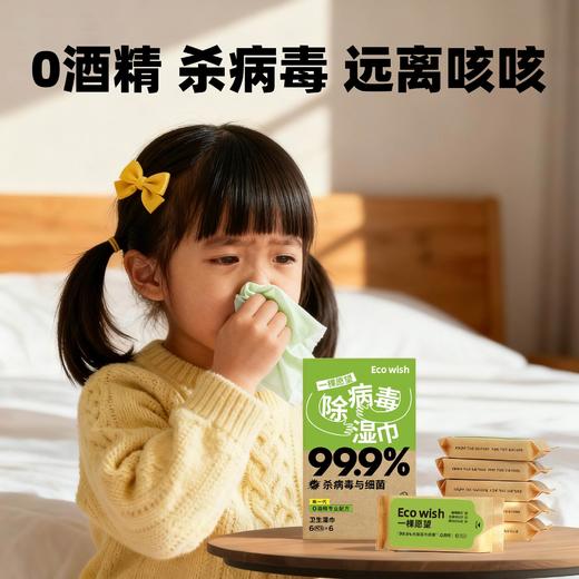 除病毒湿巾迷你6抽/包便携0酒精甲流乙流病毒消杀杀菌儿童ecowish 商品图2