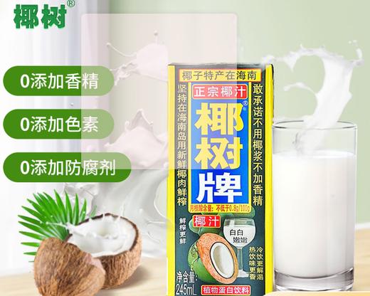 正宗椰汁椰树牌植物蛋白饮料245ml 商品图0
