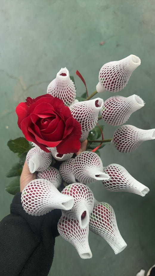 本地法兰西 商品图1