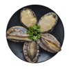 鲍鱼13-15头/1只 商品缩略图1