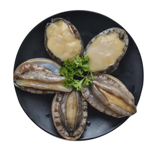 鲍鱼13-15头/1只 商品图1