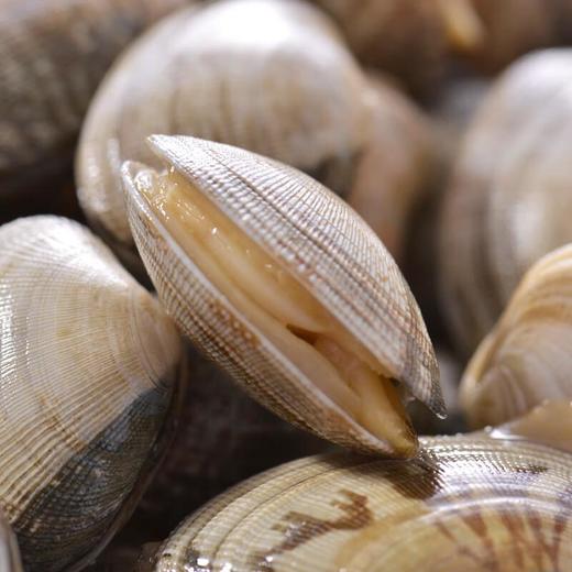 文蛤 约250g/袋 商品图3