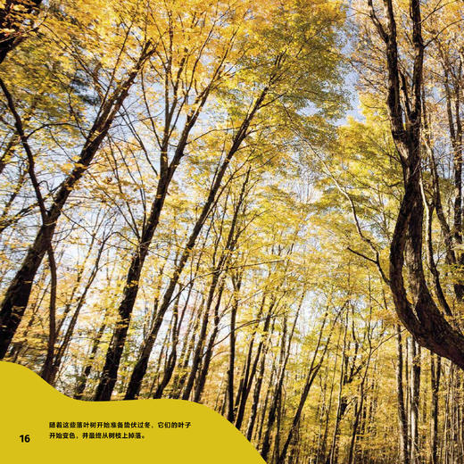 《绿色星球》（全5册） 商品图11