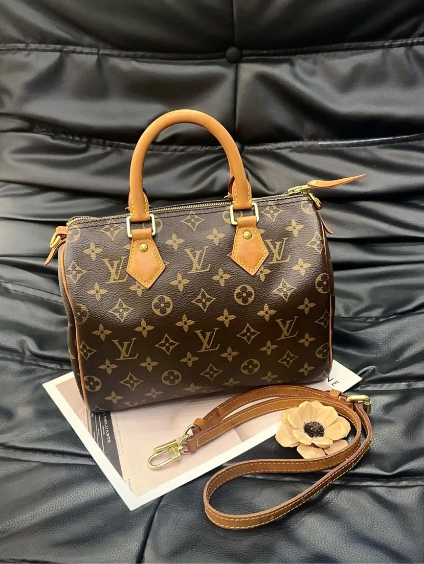 LV SP25 老花 手提包