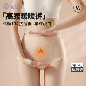 樱姿娜暖暖裤--小火炉（高腰款），WL87026新色系，5条礼盒装