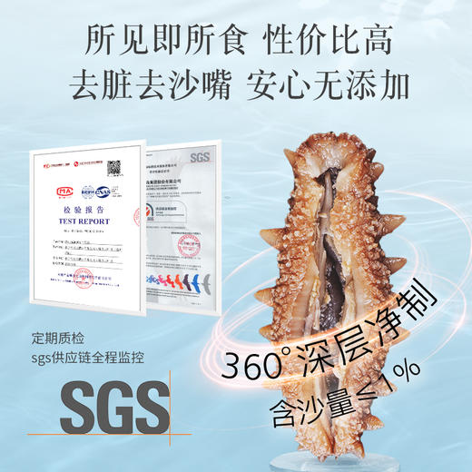 [獐子岛] 净制淡干海参 纵山海 (90g/盒、100g/盒) 商品图7