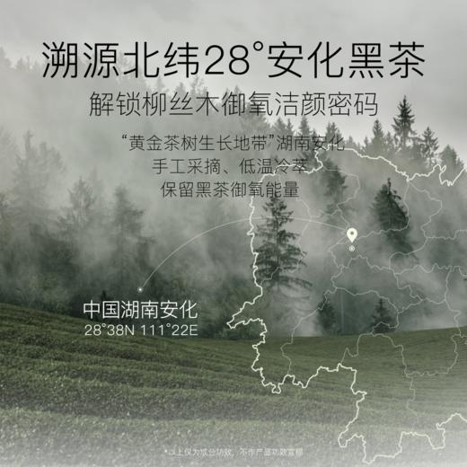 【+19.9到手325ml】柳丝木三代黑茶植萃卸妆油天然不刺激清爽水润抗氧浓妆净澈 商品图2