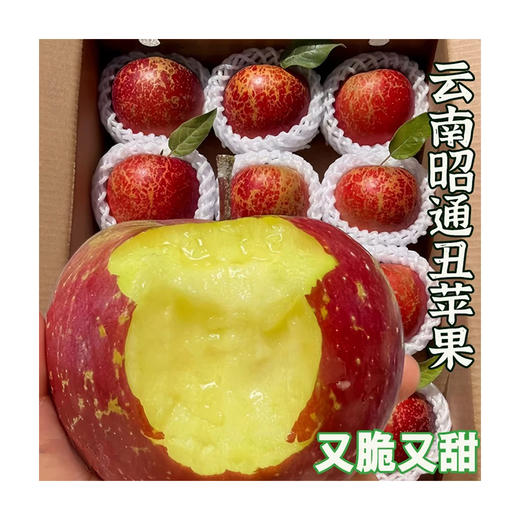 【阿里源头果园】云南昭通苹果约5斤装（果经70-80） 商品图0