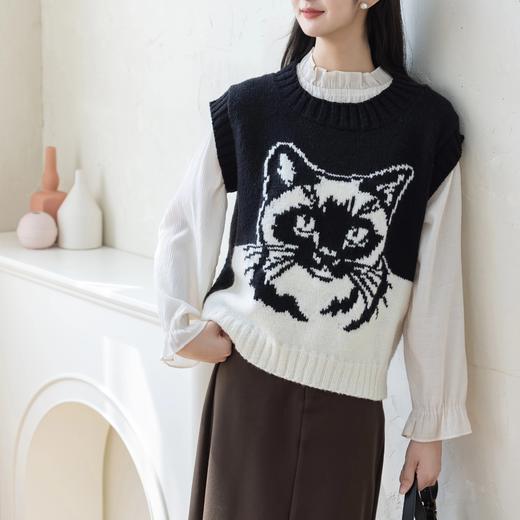 苏苏姐家猫嘟嘟毛衣手工DIY编织棒针羊毛线衣服毛线团自制材料包 商品图2