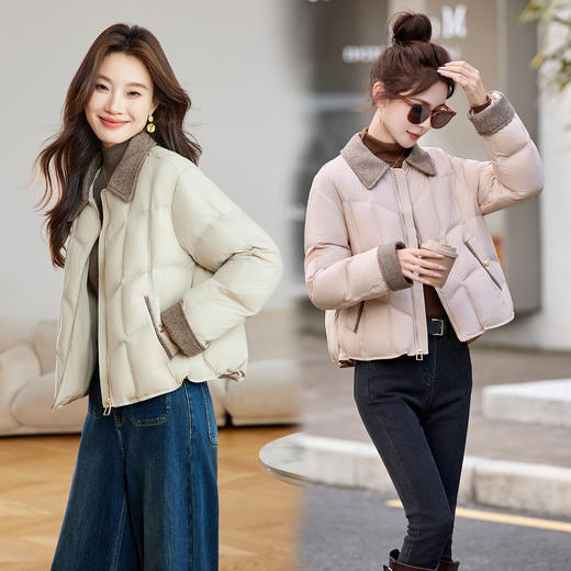 HR WYN1077优雅风羽绒服时尚polo领90绒轻薄羽绒外套 商品图0