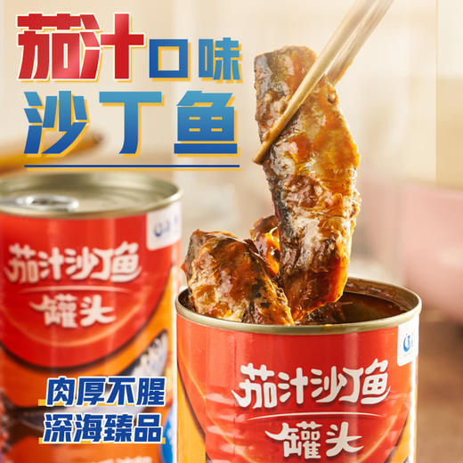 [辽渔远洋]茄汁沙丁鱼罐头(425g/罐*4) 商品图0