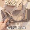 3337-博尔爽内衣(红色/香槟色 商品缩略图4